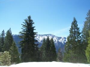 Redwood Drive Lot 10